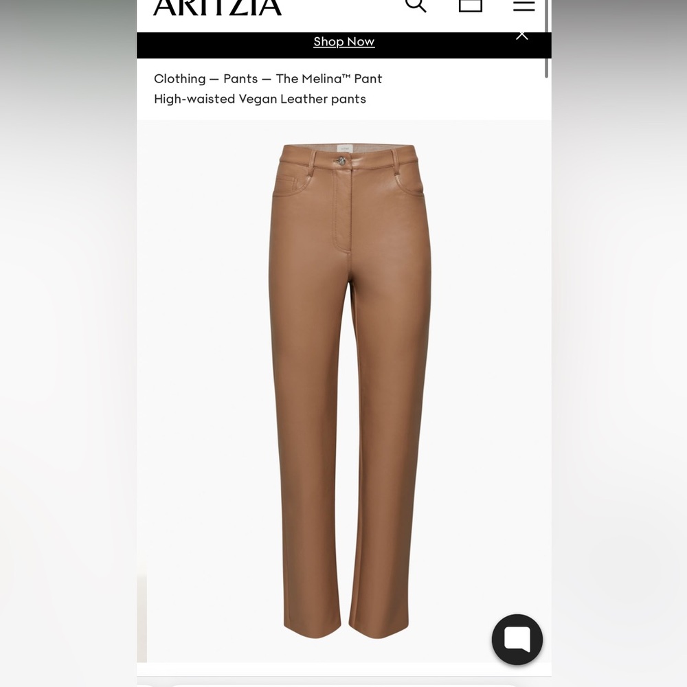 Aritzia Melina Pants - Size 0